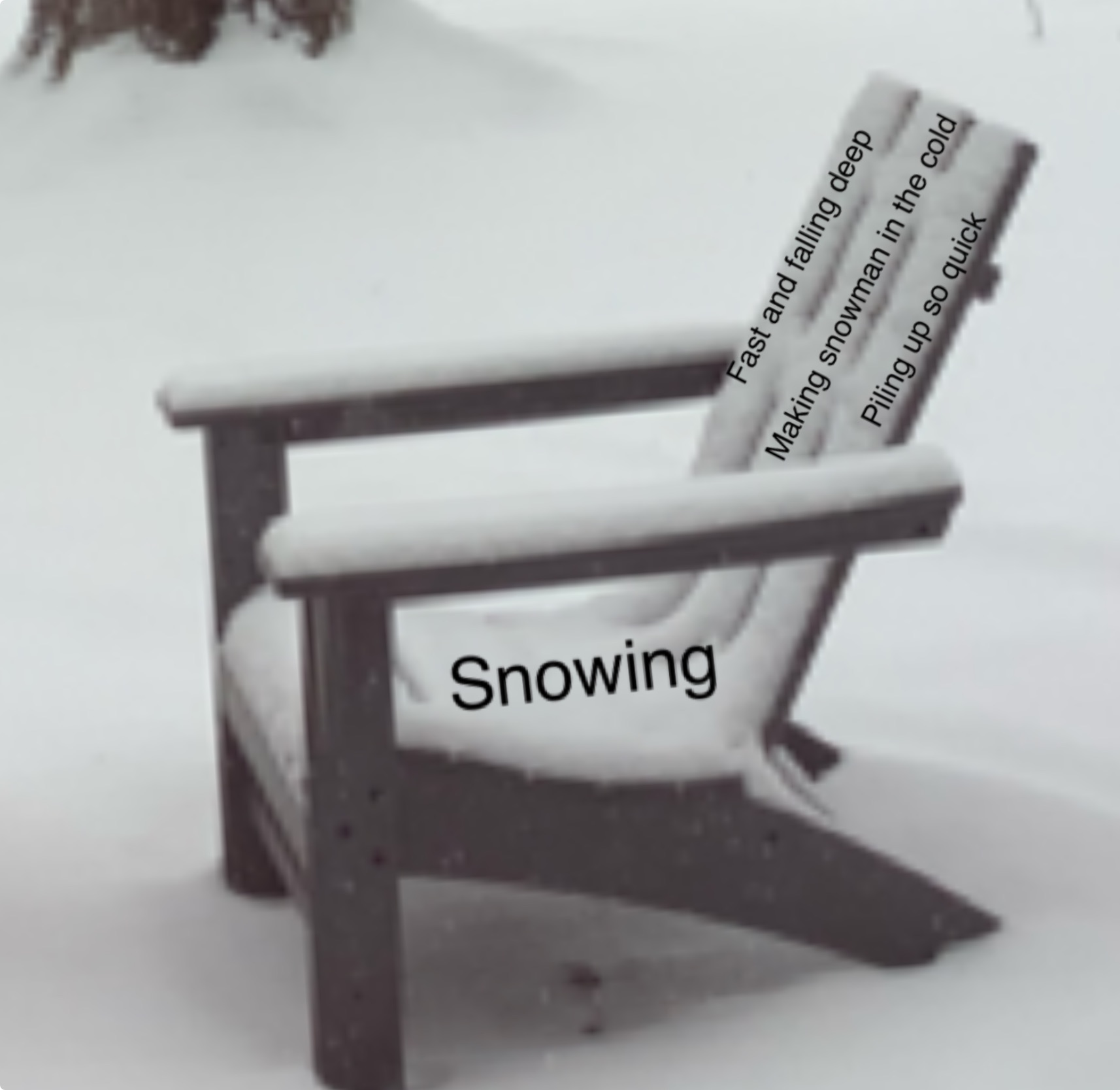 Screenshot 2025-02-14 at 3.59.26 PM